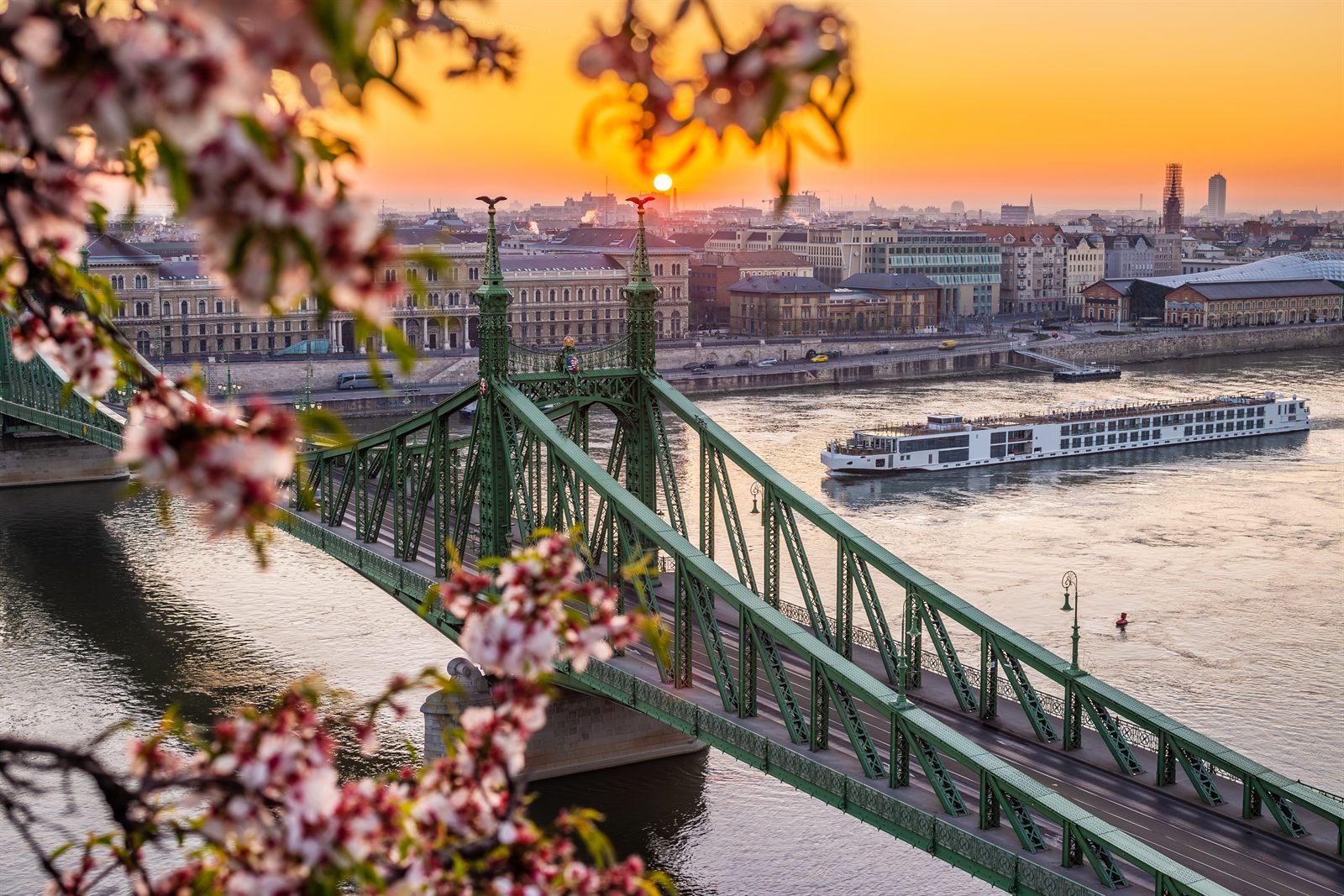Spring blossom over the Liberty Bridge in Budapest with a river cruise ship on the Danube